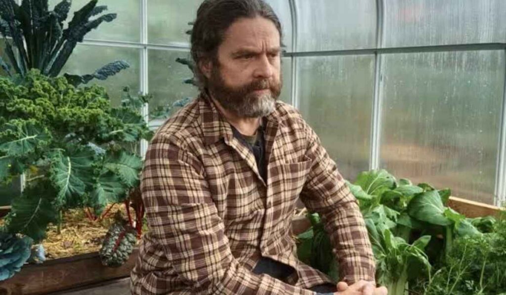 Zach Galifianakis