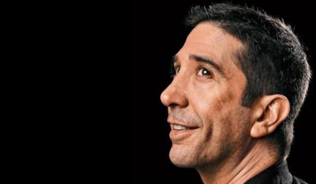 David Schwimmer